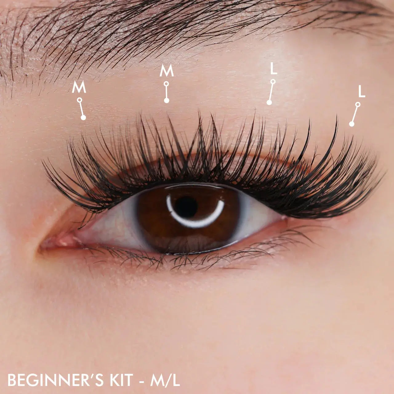 CLUSTER Fabulashes - False EYELASHES -Individual Lashes- L(15mm).