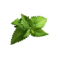 Lavender & Peppermint Epsom  Bath & Foot Soak 500 Gram - Great Mother's day gift.